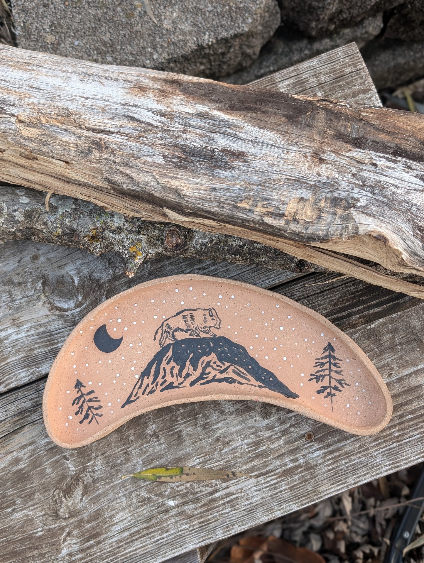 Bison Dish