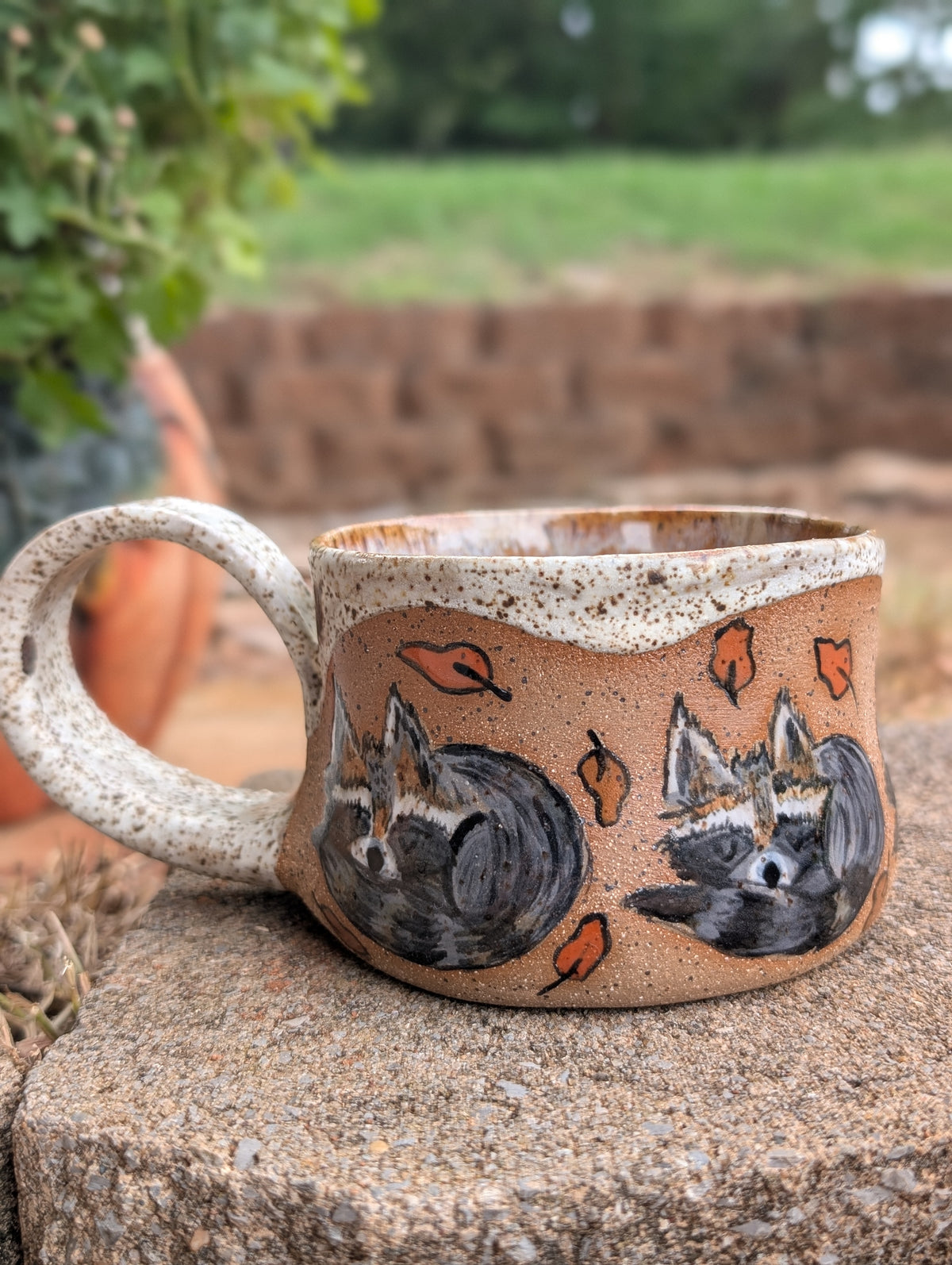 Resting Racoon Mug