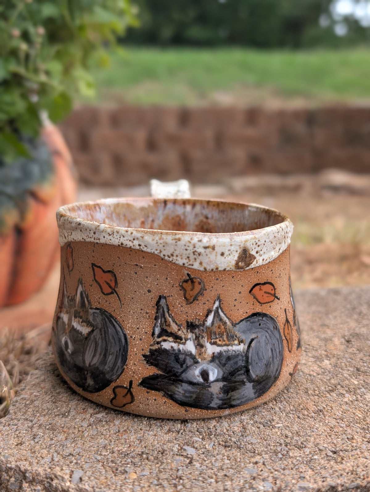 Resting Racoon Mug