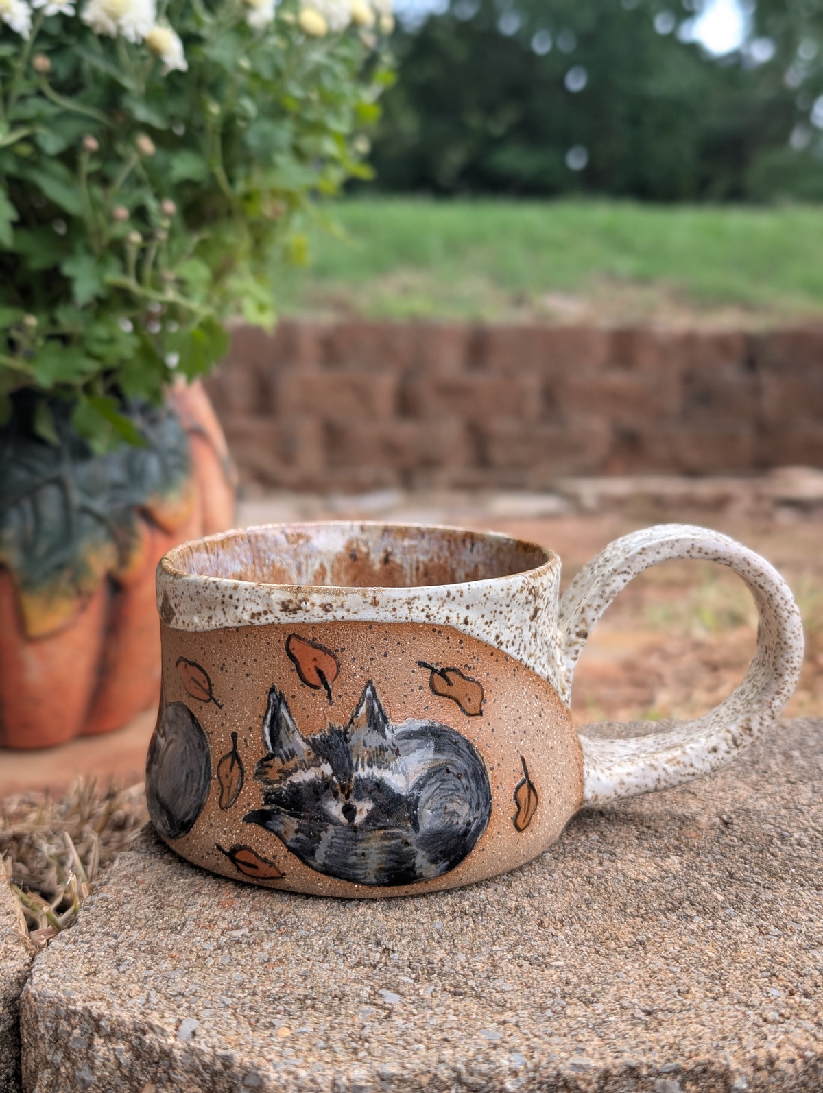 Resting Racoon Mug